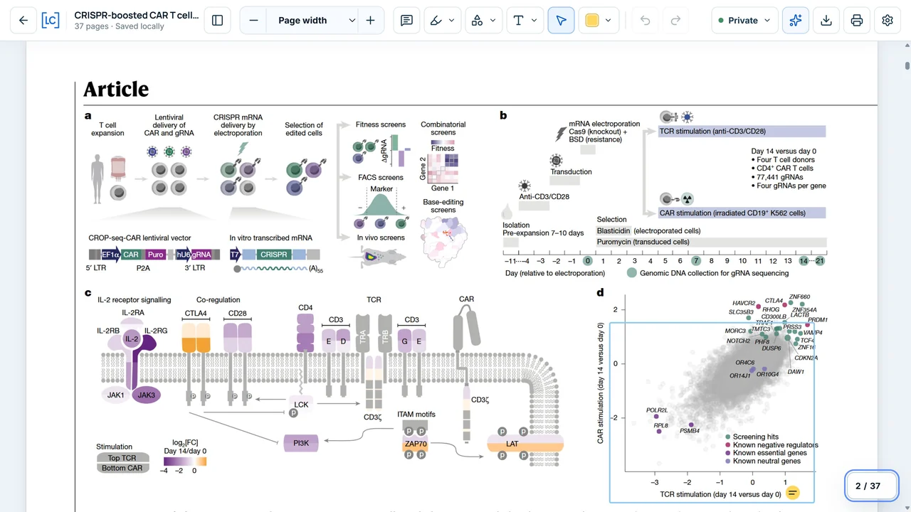 A rectangle annotation on Figure 1 of the Nature CRISPR screening paper in the LumaCite PDF viewer